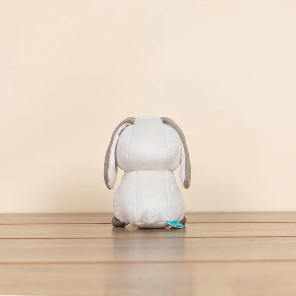 LOP BUNNI THE LOP EARED RABBIT