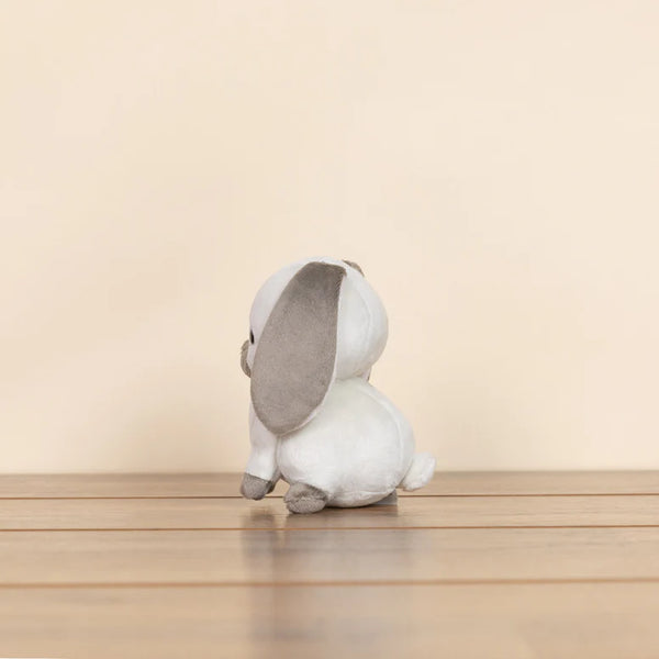 LOP BUNNI THE LOP EARED RABBIT