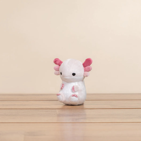 LOTTI THE AXOLOTL