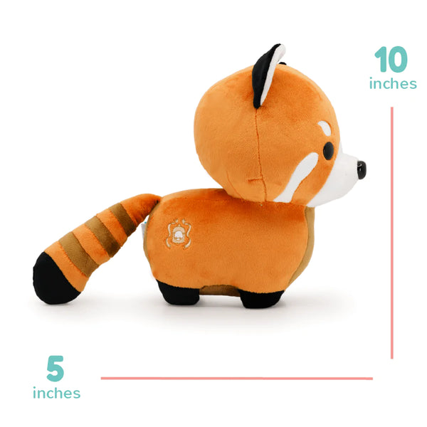 RED PANDI THE RED PANDA