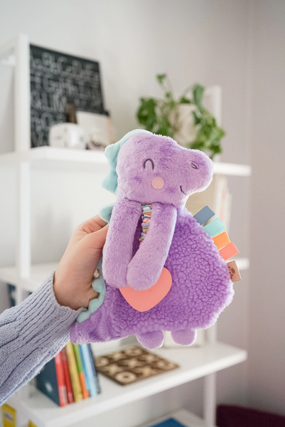 Itzy Friends Itzy Lovey™ Plush with Silicone Teether Toy