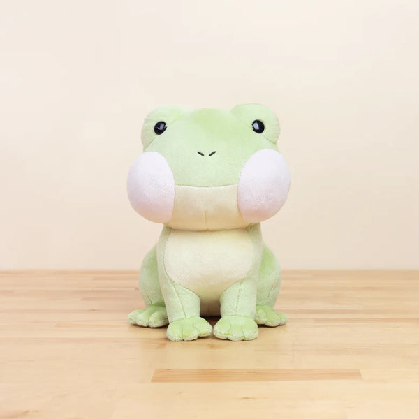 FROGGI THE FROG