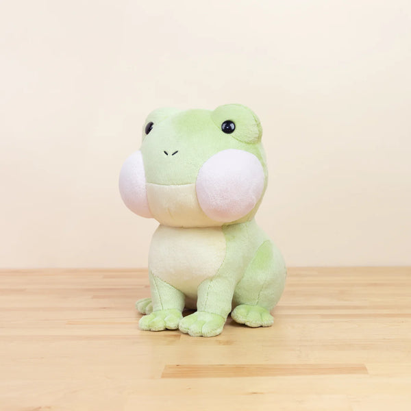 FROGGI THE FROG