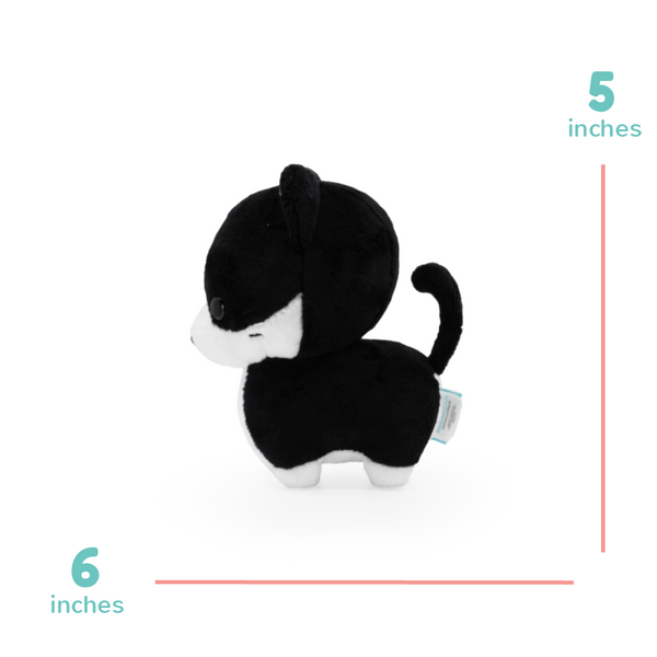 TUXI THE TUXEDO CAT