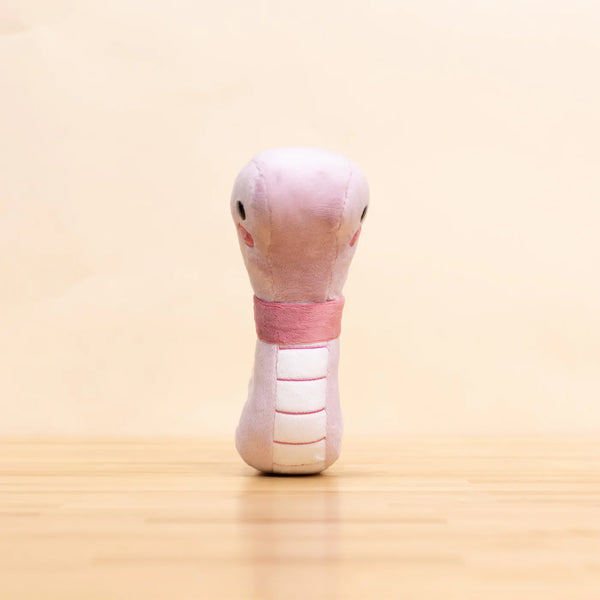WORMI THE WORM