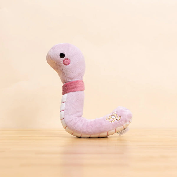 WORMI THE WORM