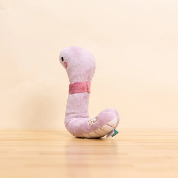 WORMI THE WORM