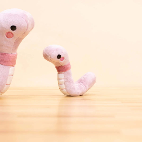 WORMI THE WORM