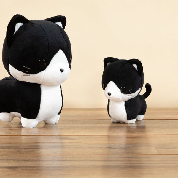 TUXI THE TUXEDO CAT