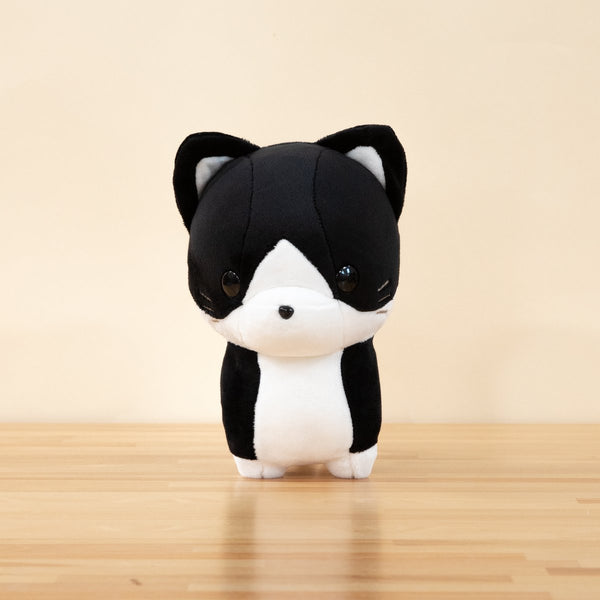 TUXI THE TUXEDO CAT