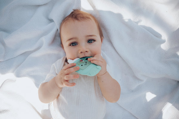 Sweetie Shake Plus™ - Teething + Rattle Toy (Tumbler)