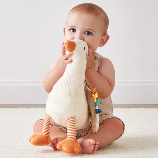 *New* Sweetie Snuggles™ Plush - Goose