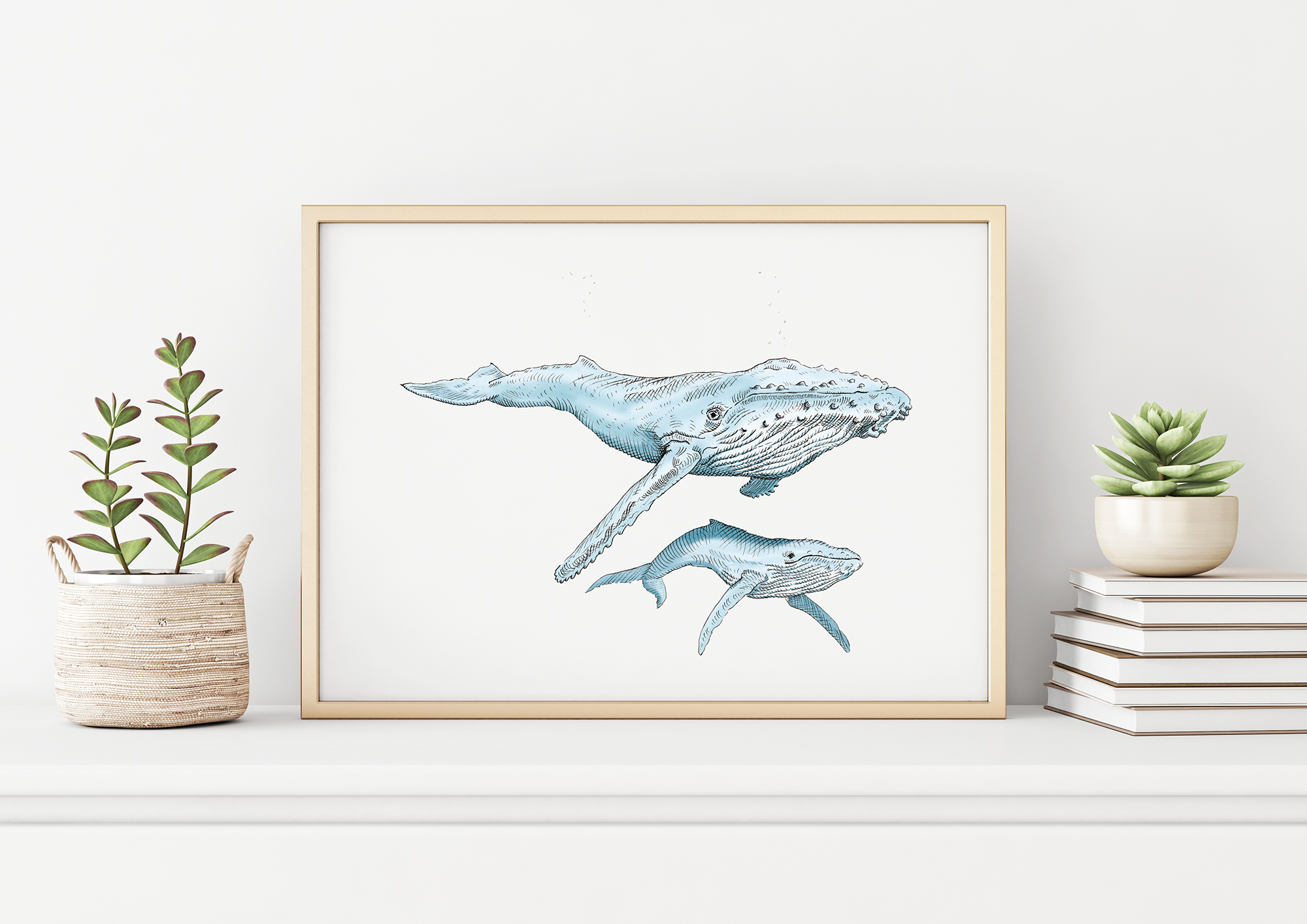 Humpback And Baby Art Print