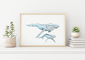 Humpback And Baby Art Print