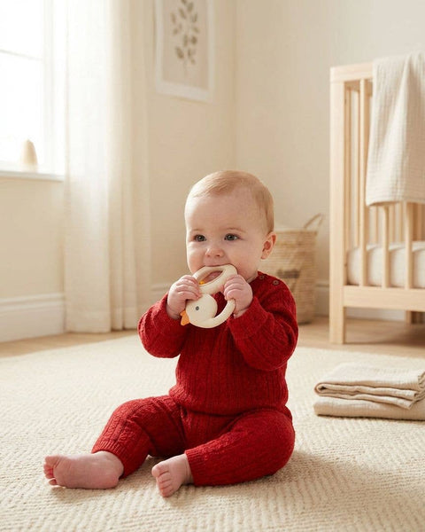 *NEW* Bitzy Shake™ - Silicone Teether with Rattle: Goose