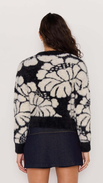 Eden Intarzia Knit Sweater