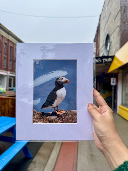 Puffin Print