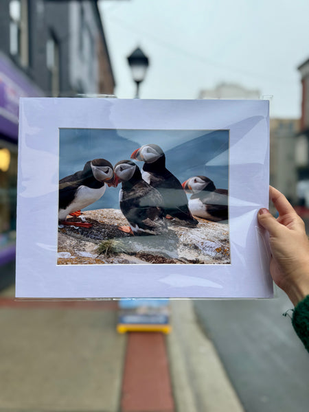 Puffin Print
