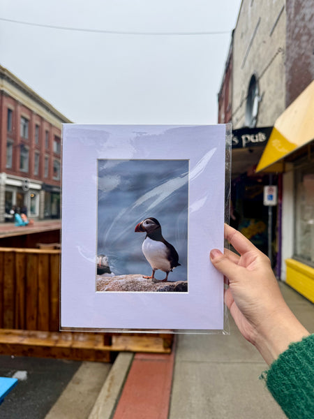 Puffin Print