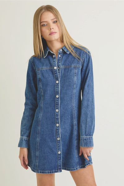 Denim Mini Dress