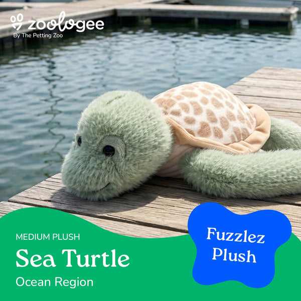 14" (36cm) Fuzzlez Turtle
